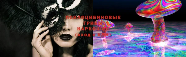 таблы Бородино