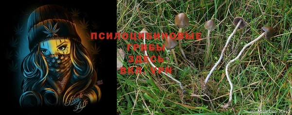 MESCALINE Богданович