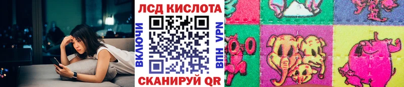 Наркотические марки 1,5мг дарнет шоп Зима